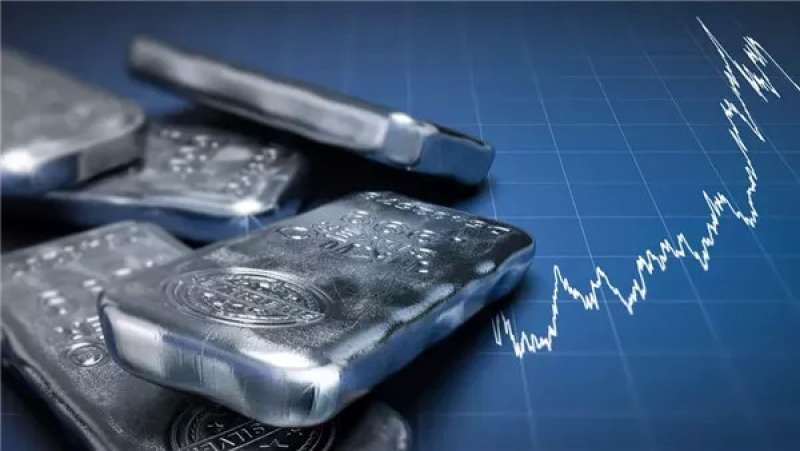 نادي نجيب: سعر الفضة يتأثر بثلاثة عوامل والاستثمار فيه ارتفع خلال السنوات الأخيرة
