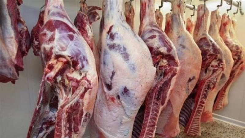 شعبة القصابين: شرط وحيد لانخفاض أسعار اللحوم قبل شهر رمضان