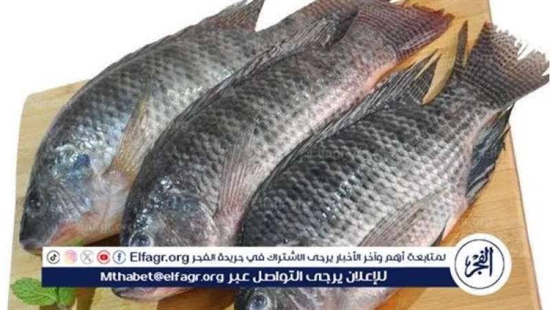 أسعار السمك اليوم الجمعة فى محافظة الغربية