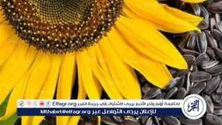 ما فوائد بذور الشمس؟