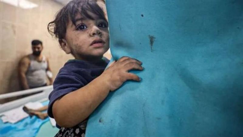 إحصائية رسمية: استشهاد 13800 طفل فى غزة منذ بدء العدوان على القطاع