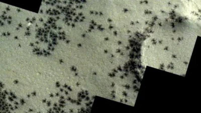 حقيقة ظهور عناكب على سطح المريخ