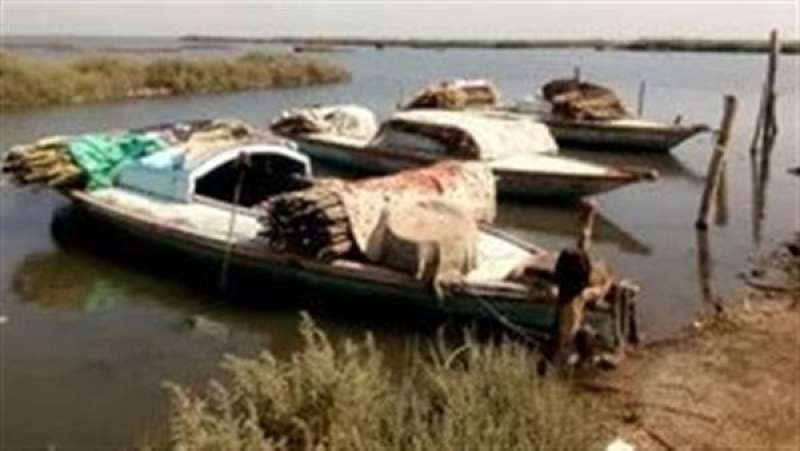 حملة أمنية تستهدف قوارب الصيد العشوائية ببحيرة البرلس وتضبط 56 قضية