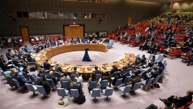 مجلس الأمن: كل جهودنا للاعتراف بالدولة الفلسطينية أُجهضت