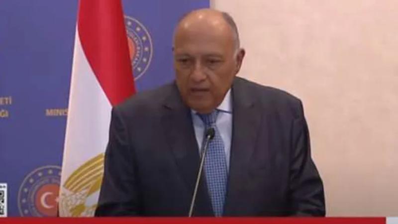 وزير الخارجية يؤكد التزام القاهرة الراسخ لدعم حقوق الشعب الفلسطيني