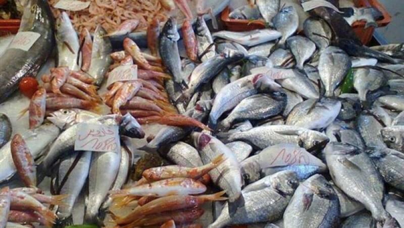 الزراعة: مصر الأولى في إنتاج السمك بالشرق الأوسط بمليوني طن سنويا (فيديو)