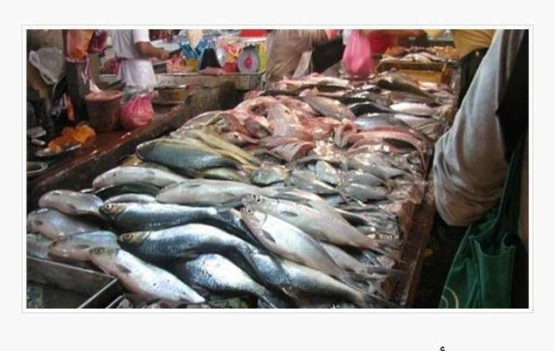 ضبط 8 أطنان أسماك مملحة ولحوم غير صالحة للاستهلاك الآدمى بالمنوفية