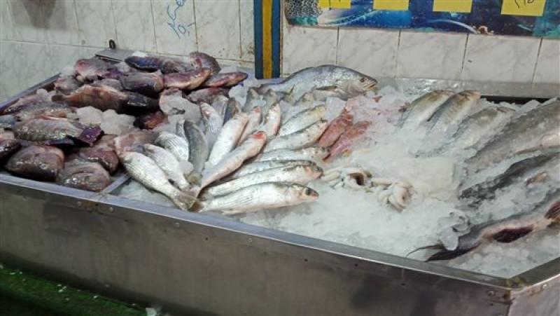 ضبط 8 أطنان وربع أسماك مملحة غير صالحة للاستهلاك قبل شم النسيم