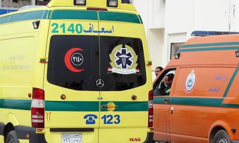 مصرع وإصابة 11 شخصا إثر انقلاب سيارة ربع نقل في المنيا.. بالأسماء
