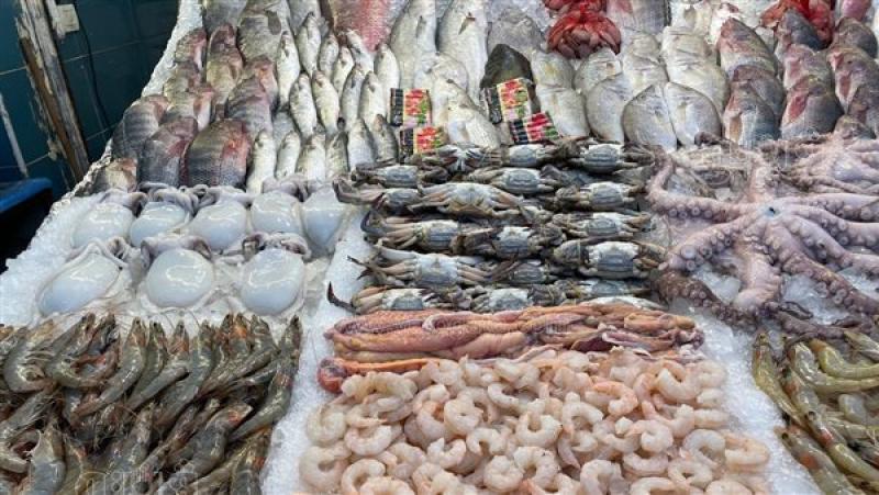 سعر الأسماك والجمبري اليوم في سوق العبور