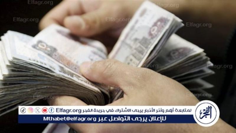 زيادة الحد الأدنى للأجور بالقطاع الخاص في مصر لعام 2024 (موعد التطبيق)