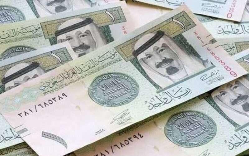 الريال السعودي بـ 12.51 جنيهًا .. أسعار العملات العربية في البنوك اليوم الخميس 16 مايو 2024