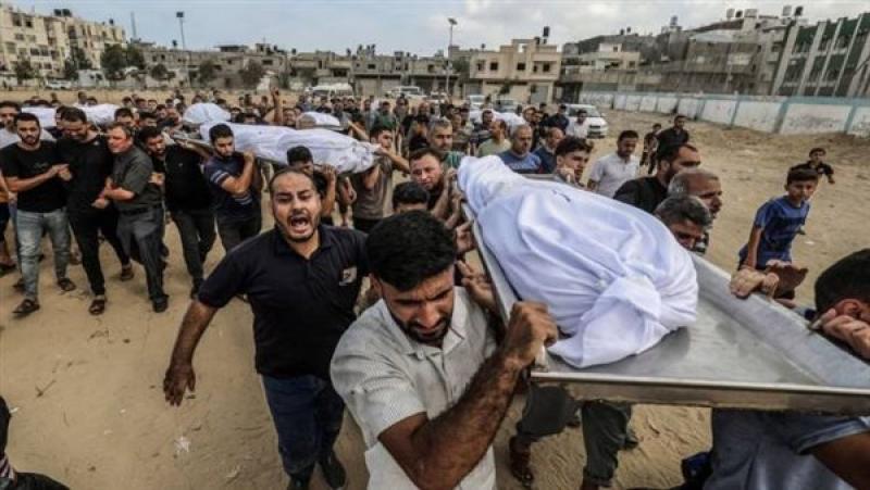 شهداء ومصابون.. قصف مكثف على عدة مناطق في رفح الفلسطينية