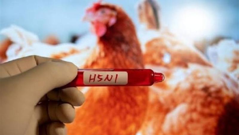 إصابة عامل أمريكي بإنفلونزا الطيور