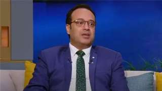 حامد فارس: مصر تسعى للتوصل...