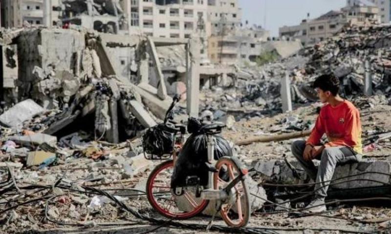 أستاذ علوم سياسية: حجم الدمار بغزة فاق الحرب العالمية الثانية