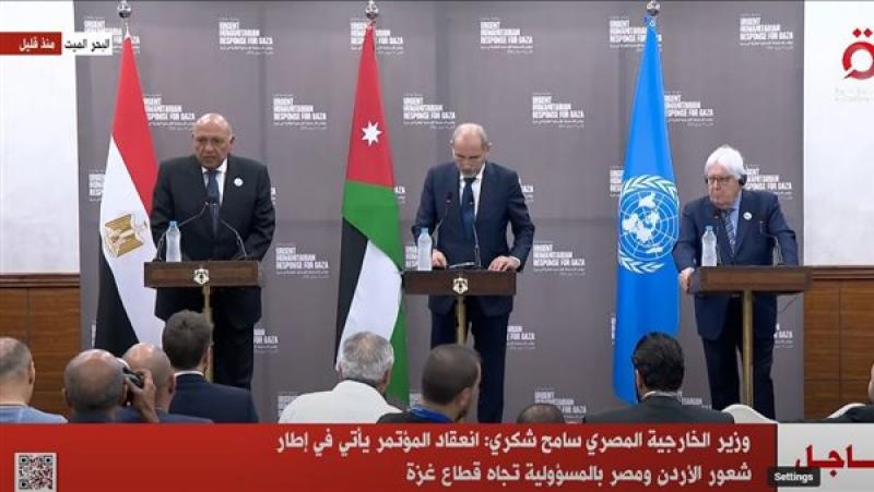 وزير خارجية الأردن: الموقف الأن يتلخص في ضرورة وقف العدوان على غزة