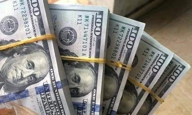 سعر الدولار اليوم